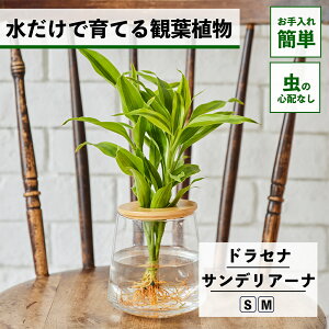 y2_ȏw1,000~OFFz ϗtA k͔| hZi TfA[i nChJ`[ ňĂ ygȂ CeA ϗtA S  Ă₷ ͔| A  