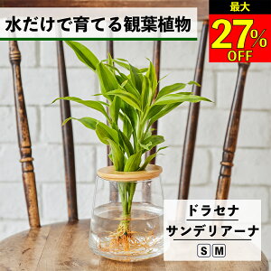 ySi10OFF{ő20N[|z ϗtA k͔| hZi TfA[i nChJ`[ ňĂ ygȂ CeA ϗtA S  Ă₷ ͔| A 