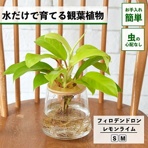 y2_ȏw1,000~OFFz ϗtA k͔| tBfh C ňĂ nChJ`[ ygȂ CeA  Ă₷ ͔| A ~jϗtA 