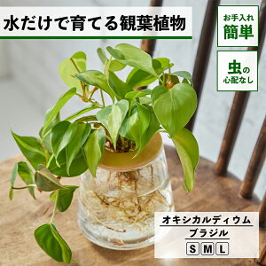 y2_ȏw1,000~OFFz ϗtA k͔| ILVJfBEuW ňĂ nChJ`[ ygȂ CeA ϗtA S  Ă₷ ͔| A ~