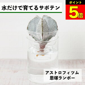 y2_ȏw1,000~OFFz T{e k͔| AXgtBc ˃|[ ňĂ A ygȂ aP |[ |[  CeA S  Ă₷ n