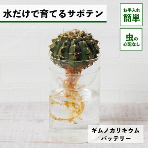 y2_ȏw1,000~OFFz T{e k͔| MmJLE obe[ ňĂ A ygȂ CeA S  Ă₷ nChJ`[ ͔| A 