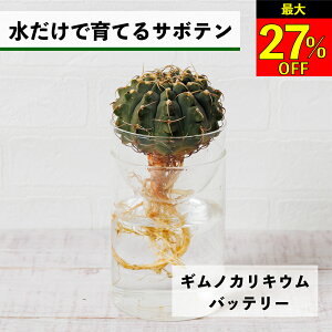 ySi10OFF{ő20N[|z T{e k͔| MmJLE obe[ ňĂ A ygȂ CeA S  Ă₷ nChJ`[ ͔| 