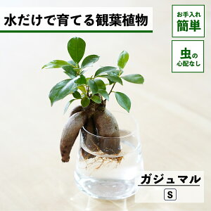 y2_ȏw1,000~OFFz ϗtA k͔| KW} K̖ ňĂ nChJ`[ ygȂ CeA ϗtA S  Ă₷ ͔| A ~j  