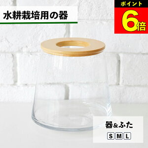 【3日間限定15%OFF】 水耕栽培 器 鉢 ガラス 容器 土を使わない ハイドロカルチャー 観葉植物 植物 野菜 グリーン 水耕栽培キット キット 花瓶 フラワーベース 観葉植物の器 水耕栽培専用 水
