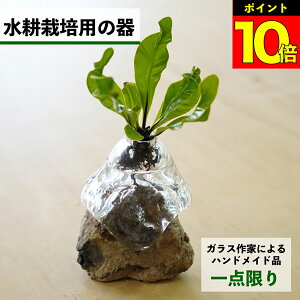 y2_ȏw1,000~OFFz k͔|   KX e ygȂ nChJ`[ ϗtA A  O[ k͔|Lbg Lbg ԕr t[x[X ϗtÅ k͔|