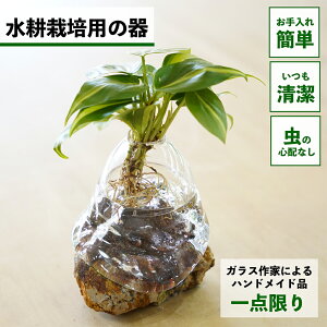 y2_ȏw1,000~OFFz k͔|   KX e ygȂ nChJ`[ ϗtA A  O[ k͔|Lbg Lbg ԕr t[x[X ϗtÅ k͔|