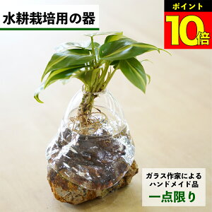 y2_ȏw1,000~OFFz k͔|   KX e ygȂ nChJ`[ ϗtA A  O[ k͔|Lbg Lbg ԕr t[x[X ϗtÅ k͔|