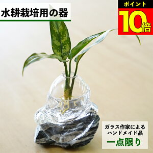 y2_ȏw1,000~OFFz k͔|   KX e ygȂ nChJ`[ ϗtA A  O[ k͔|Lbg Lbg ԕr t[x[X ϗtÅ k͔|