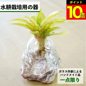 y2_ȏw1,000~OFFz k͔|   KX e ygȂ nChJ`[ ϗtA A  O[ k͔|Lbg Lbg ԕr t[x[X ϗtÅ k͔|