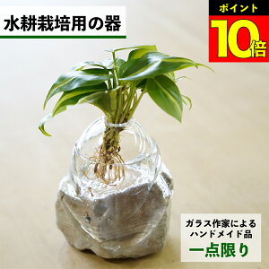 y2_ȏw1,000~OFFz k͔|   KX e ygȂ nChJ`[ ϗtA A  O[ k͔|Lbg Lbg ԕr t[x[X ϗtÅ k͔|