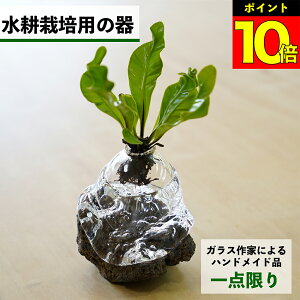 y2_ȏw1,000~OFFz k͔|   KX e ygȂ nChJ`[ ϗtA A  O[ k͔|Lbg Lbg ԕr t[x[X ϗtÅ k͔|