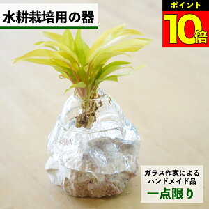 y2_ȏw1,000~OFFz k͔|   KX e ygȂ nChJ`[ ϗtA A  O[ k͔|Lbg Lbg ԕr t[x[X ϗtÅ k͔|