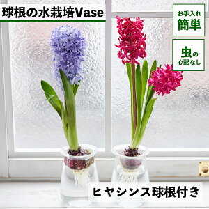 qVX͔| qVX  qVX qVXk͔| k͔| ͔| vase  ͔| qVX͔̐| t[x[X  ԕr e ͔̐| Z