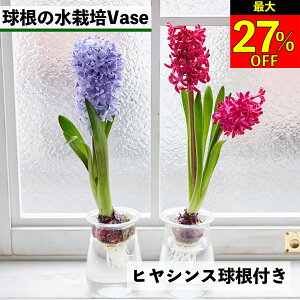 ySi10OFF{ő20N[|zqVX͔| qVX  qVX qVXk͔| k͔| ͔| vase  ͔| qVX͔̐| t[x[X 