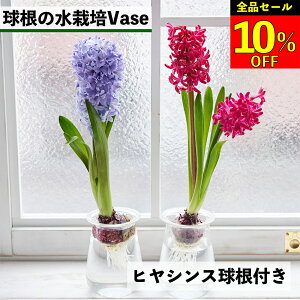 ySi10OFF{ő2,000~OFFN[|zqVX͔| qVX  qVX qVXk͔| k͔| ͔| vase  ͔| qVX͔̐| t[x[