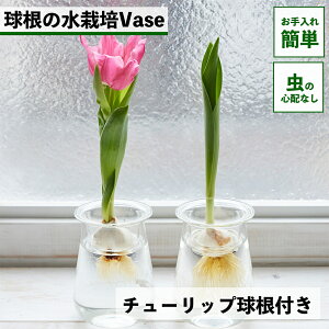 `[bv͔| `[bv  `[bv `[bvk͔| k͔| ͔| vase  ͔| `[bv͔̐| t[x[X  ԕr e ̐