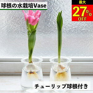 ySi10OFF{ő20N[|z`[bv͔| `[bv  `[bv `[bvk͔| k͔| ͔| vase  ͔| `[bv͔̐| t