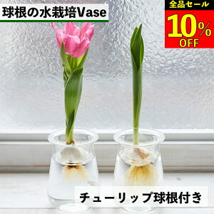 ySi10OFF{ő2,000~OFFN[|z`[bv͔| `[bv  `[bv `[bvk͔| k͔| ͔| vase  ͔| `[bv͔̐| t