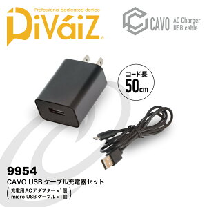 Di-VaiZ 9954 CAVO USBP[u[d[ CUC ƒ ƕ fBoCX obe[ [d ^ X}[gtHΉ M^oRΉ [NEFA ]