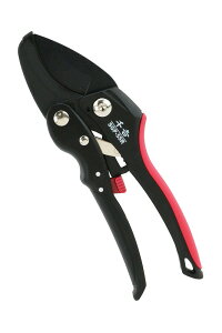 g I[g`Fbg [ g |   El 4977292625364 ]