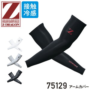 Z-DRAGON A[Jo[ 75129 [  Ci[ RvbV A[Jo[ Y j W[hS Z-DRAGON d ]