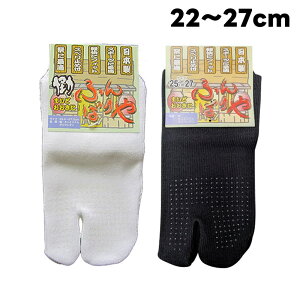 E[[-] ܗpC ӂ΂ wt   22cm ` 27cm |  ߑ Ղ n ܗp\bNX Ղpi Ղߑ yV   Z ՌC ȒP ܗp C \bNX 