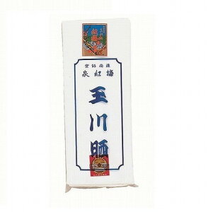 EN 炵 21100 g~ 100 10m  | g~ʐN Ղ    Rbg Y j fB[X  n _`     \  { Cxg Î z n 