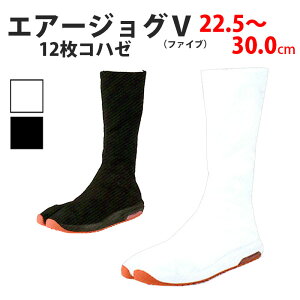 En [AJ5-12] GA[WOV   12͂ 22.5`32.0cm | GA[ GA[ Ղߑ Ղ  Cxg oR qp   悳 j  X|[c g[jO  a