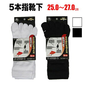 EܗpC ̔l5{wC 3g   25.0cm`27.0cm | n  Z  n  5{w X|[c  V[g ߑ Ղ  ՌC 5{w\bNX rWl