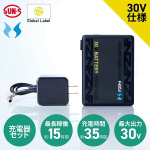�󒲕��_�� GlobalLabel 30V�d�l �C�O�� ���`�E���C�I���o�b�e���[ �[�d��Z�b�g ���[�J�[�ۏؕt RD9680G �y���`�E���C�I���o�b�e���[�Z�b�g�z
