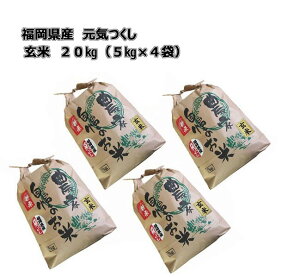 \@[ C ] [  ] [ 20kg (5kg×4) ] ߘa7NY 10{`{\@Y _ƒ @V