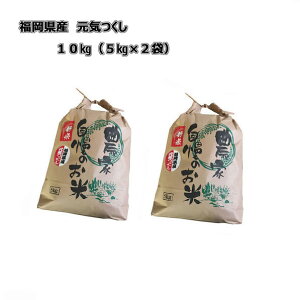 \@[ C ] [ 10kg (5kg×2) ]@ߘa7NY 10{`{\@Y@_ƒ@@V