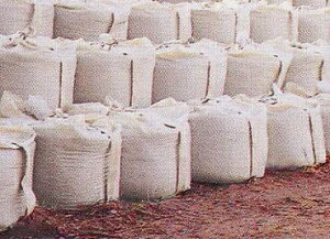 ^ŷ@ReiobO@ی^tRobN@1tŷ @gobN @g