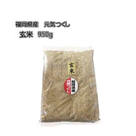 [ 元気つくし ] [ 玄米 ] [ 950g ]　令和5年産 福岡県産　農家直送　送料無料　ポイント消化