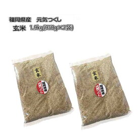 元気つくし　玄米　1.9kg (950g×2袋)　令和5年産　福岡県産　農家直送　送料無料　ポイント消化