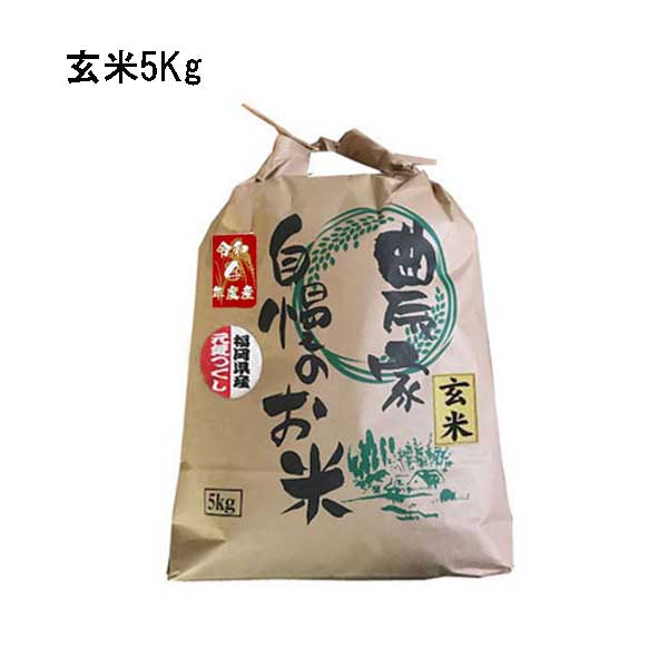 元気つくし  玄米  1.9kg (950g×2袋) ]　令和4年産　福岡県産　ポイント消化　農家直送　約 2kg　送料無料