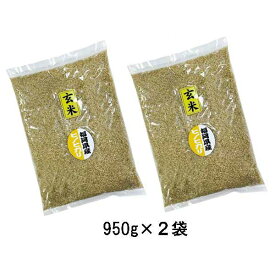 [ ひのひかり ] [ 玄米 ] 　1.9kg（950g×2袋) 令和5年産　福岡県産　農家直送　ポイント消化　送料無料　お試し用