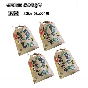 新米　令和3年産　福岡県産　ひのひかり　玄米　20kg (5Kg×4袋) 農家直送　送料無料
