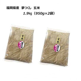 夢つくし　玄米　 1.9kg （950g×2袋) 　令和5年産　福岡県産　農家直送　送料無料　お試し用　ポイント消化