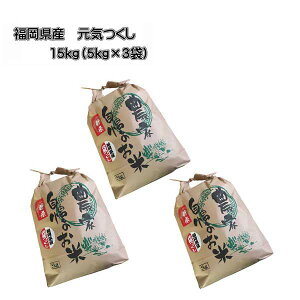\@[ C ] [ 15kg (5kg×3) ]@ ߘa7NY@10{`{\@Y@_ƒ@@V