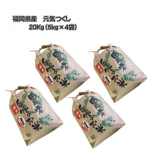 \@[ C ] [ 20kg (5kg×4) ]@ߘa7NY@10{`{\@Y@_ƒ@@V