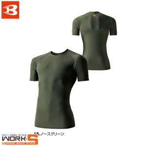 BURTLE o[g4105 ACXtBbebh [NEFA ƒ ƕ Z[II
