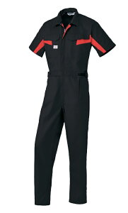 t@CeR{1511 4L5L S4F50%|GXe50% VL{ED bNXԂ𐶂ރANA`^ʑ tĕ@RcC I[goC