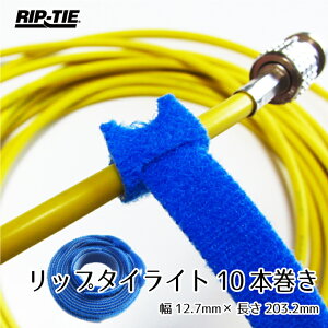 oh }WbNe[v bv^CCg 12mm×203mm 10{ Y-08-1PL