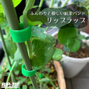 P[u  Œ bvbvpbN 12mm×3m