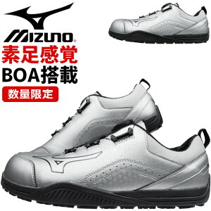 yz ~Ym SC Xj[J[ I[}CeB ALMIGHTY TDII 51L BOA F1GA2514 BOA [Jbg MIZUNO [Jbg Y JSAA A ϊ ϖ R hL Ռz