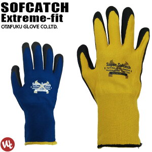 y2_܂ŃlR|XzƎ \tLb`GNXg[tBbg jgS 1o A-398yS_ϖ_w_oCNO[uz