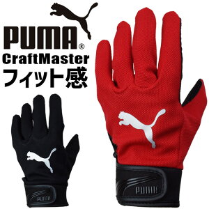 y3_܂ŃlR|Xzv[} Ǝ v PUMA CRAFT MASTER CM-6001 [NO[u Y fB[X