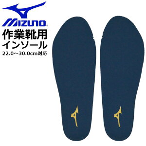 y2_܂ŃlR|Xz~Ym C\[ [LOV[Yp SCp 22.0cm-30.0cm R hL ʋC ~ Y fB[X mizuno F1GU2200